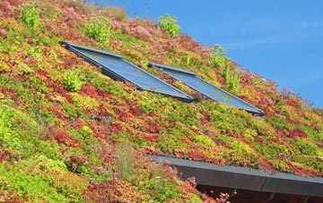 Crackpot living roof systems